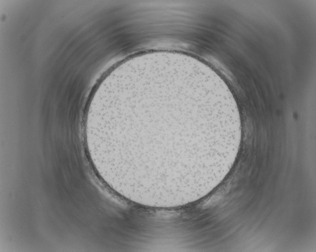 X0000062670848200601181858