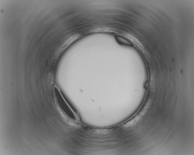 X0000062670849200601181858