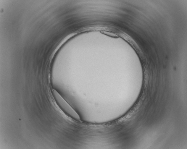 X0000062670852200601181858