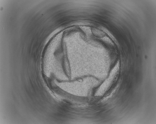 X0000062670853200601181859