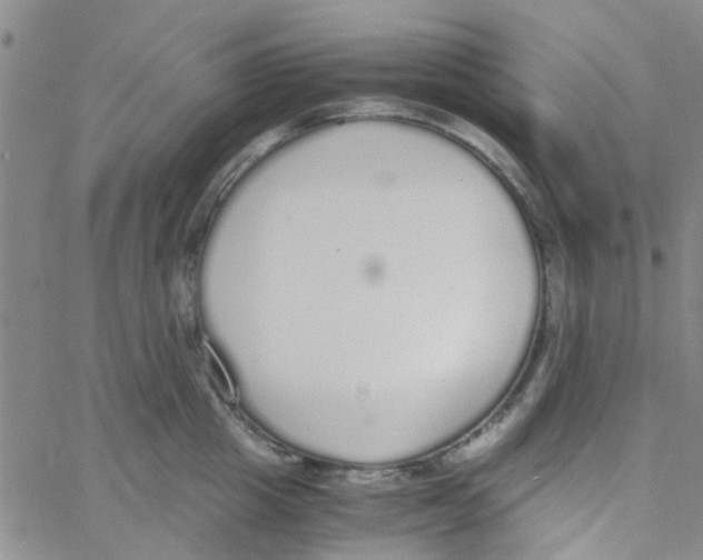 X0000062670857200601181859