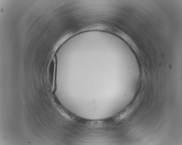 X0000062670858200601181859