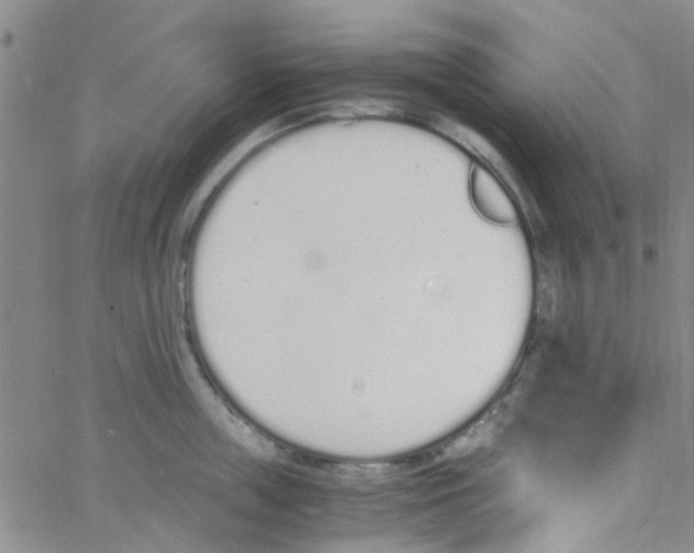 X0000062670859200601181859