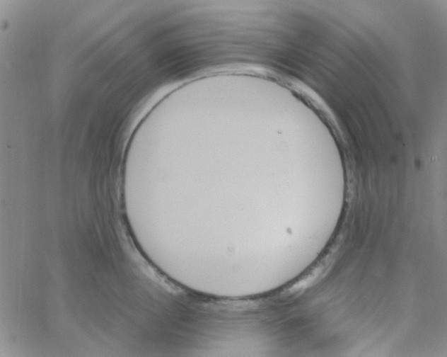 X0000062670860200601181859