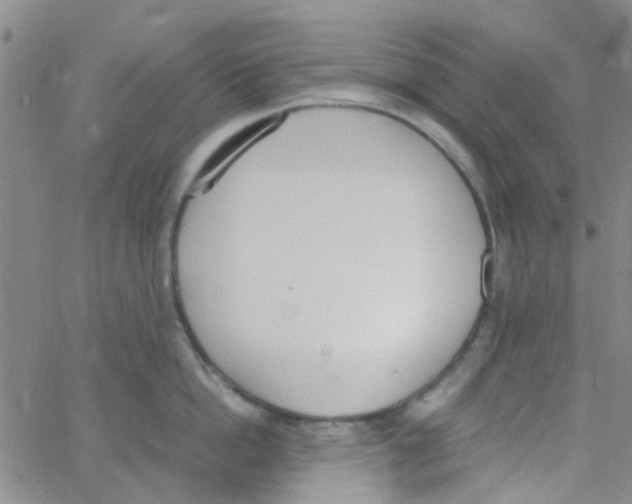 X0000062670862200601181859