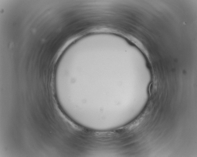 X0000062670863200601181859