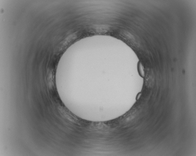 X0000062670866200601181858