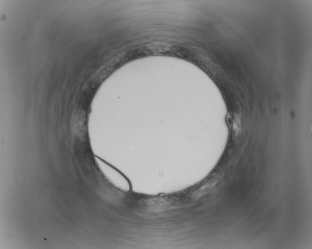 X0000062670867200601181858