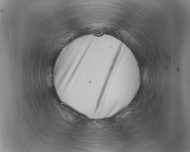 X0000062670868200601181858