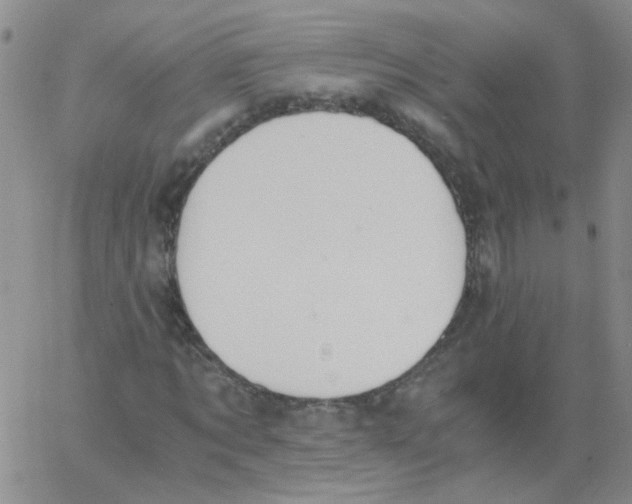 X0000062670869200601181858