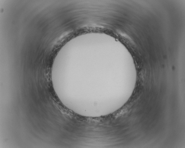 X0000062670870200601181858