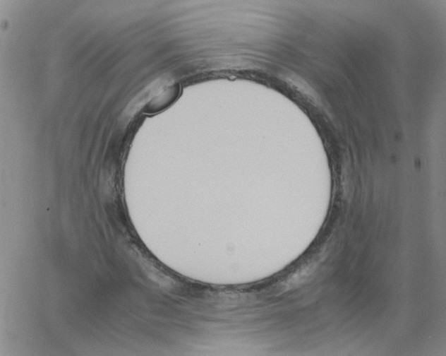 X0000062670873200601181858