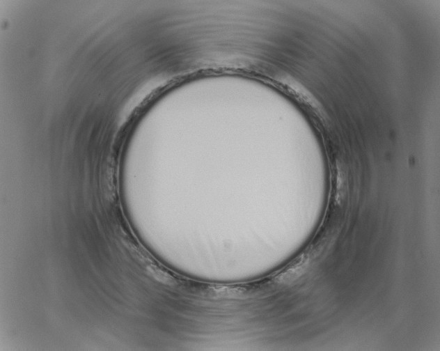 X0000062670878200601181858