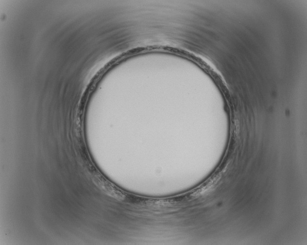 X0000062670879200601181858