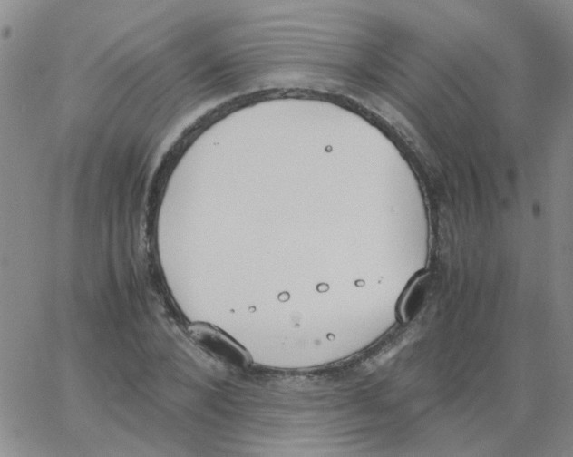 X0000062670880200601181858