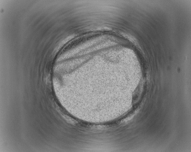 X0000062670881200601181858