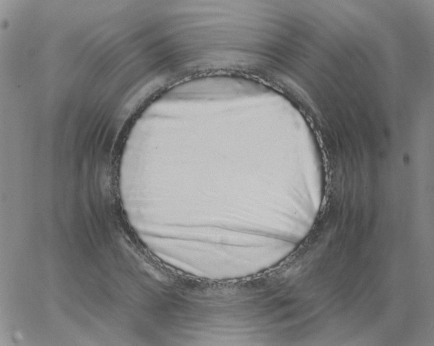 X0000062670882200601181858