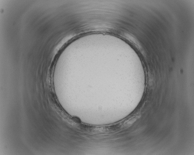 X0000062670883200601181858