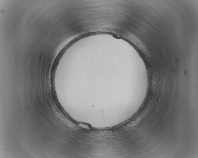 X0000062670884200601181858