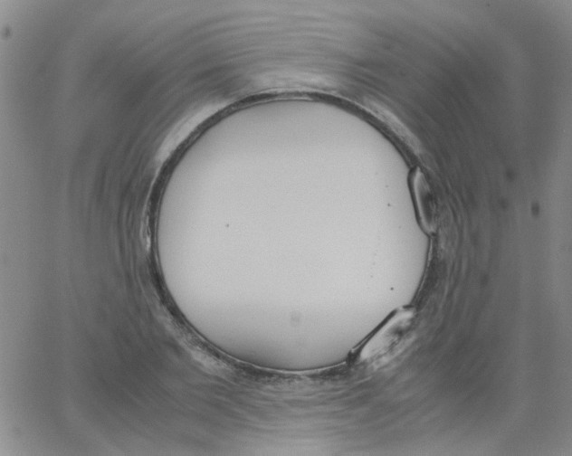 X0000062670885200601181858