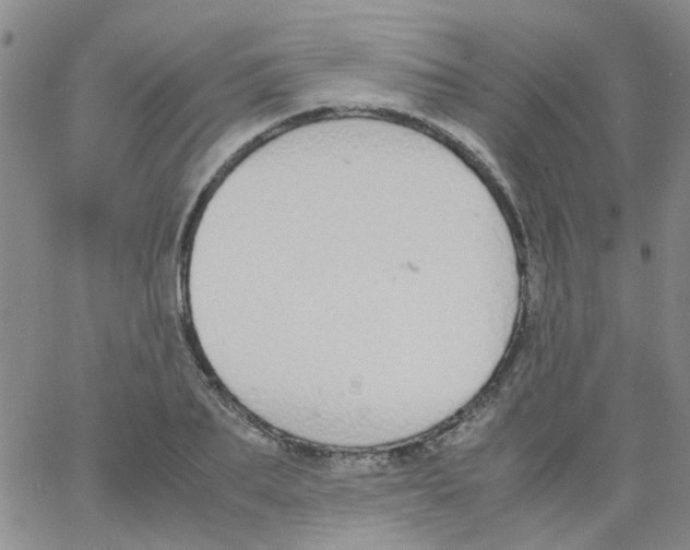 X0000062670887200601181858