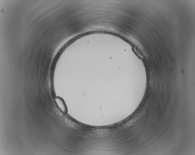 X0000062670888200601181858