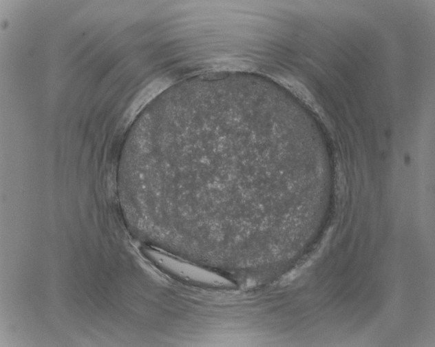 X0000062670889200601181858