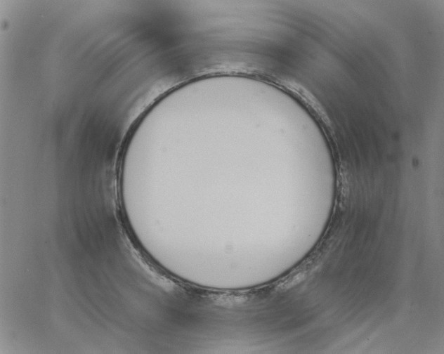 X0000062670890200601181858