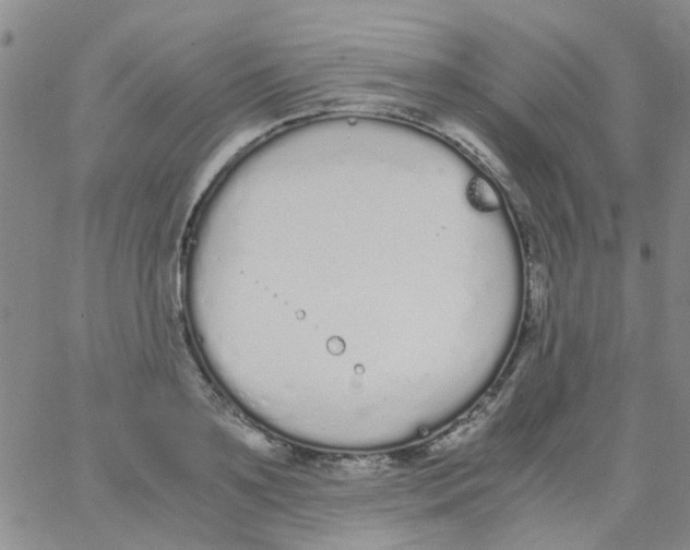 X0000062670891200601181857