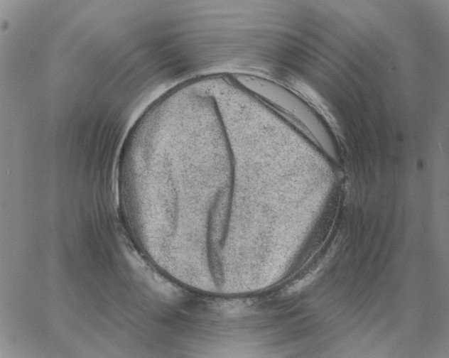 X0000062670892200601181857