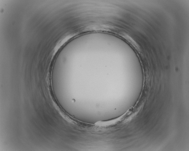 X0000062670893200601181857