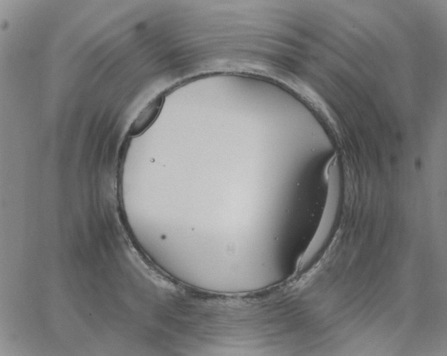 X0000062670896200601181857