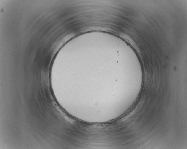 X0000062670898200601181857