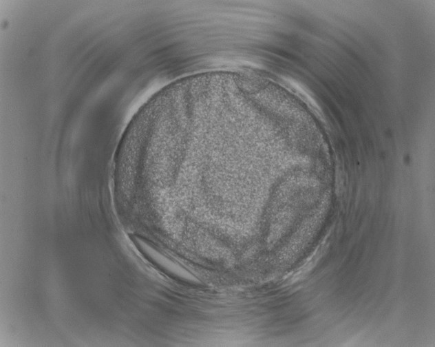 X0000062670899200601181857