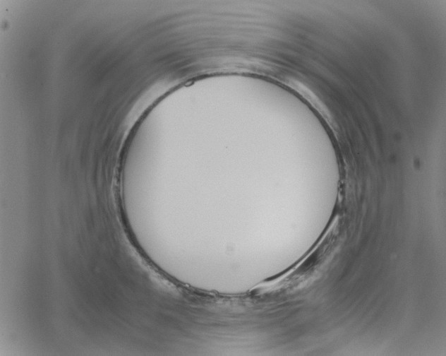 X0000062670901200601181857