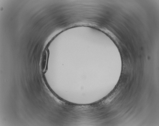 X0000062670902200601181857