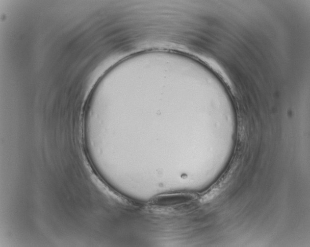 X0000062670903200601181857