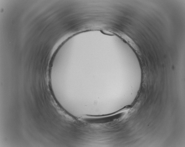 X0000062670904200601181857