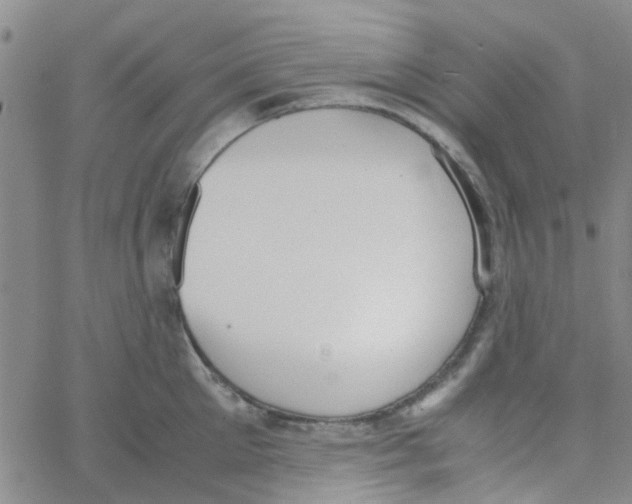 X0000062670905200601181857