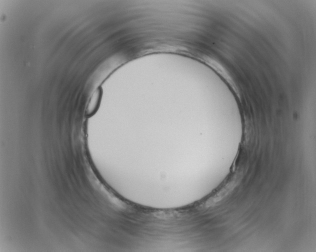 X0000062670906200601181857