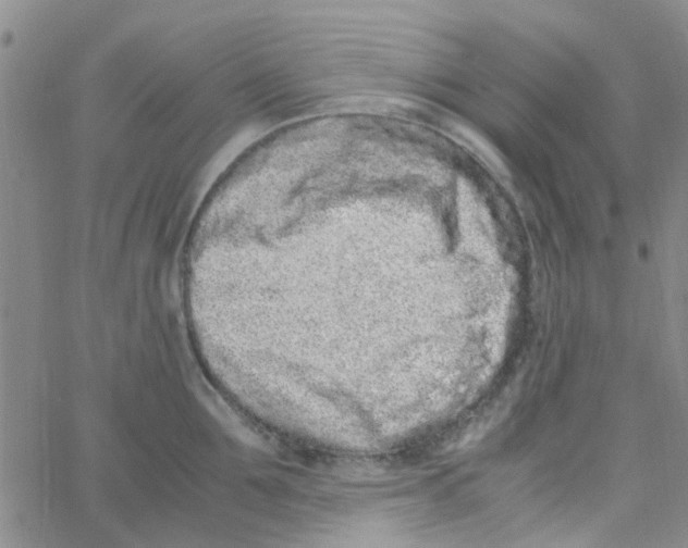 X0000062670907200601181857