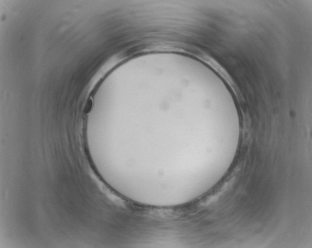 X0000062670909200601181857