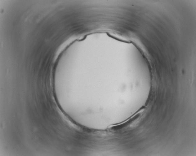 X0000062670910200601181857