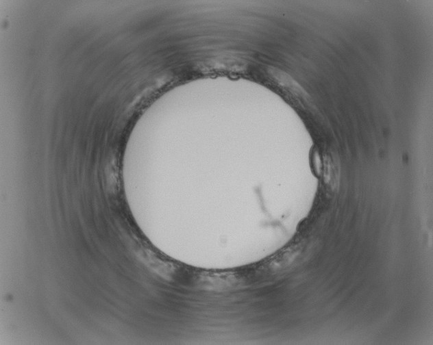 X0000062670915200601181856