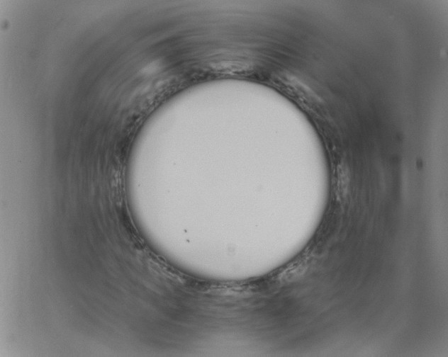 X0000062670917200601181856