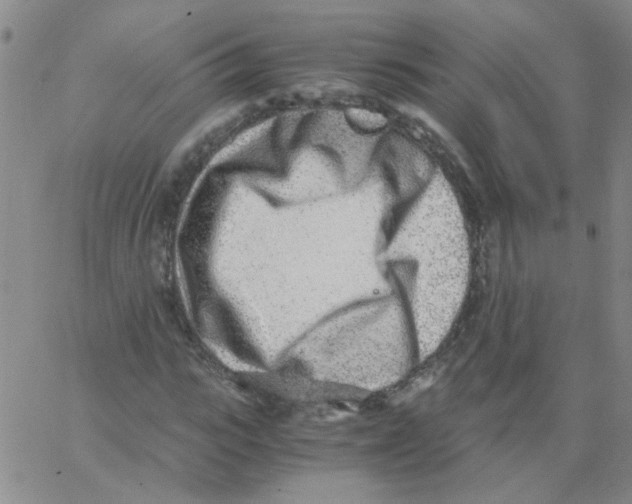 X0000062670919200601181856