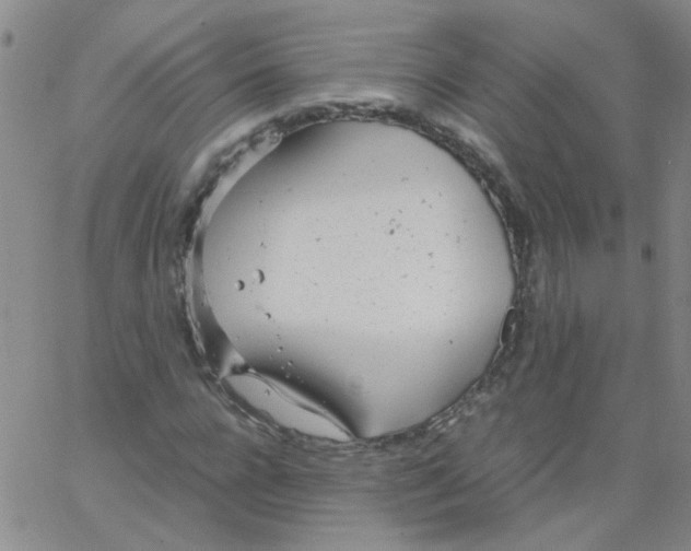 X0000062670920200601181856