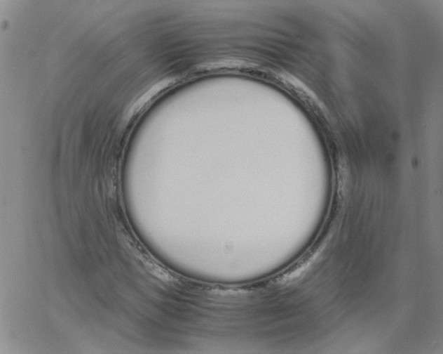 X0000062670921200601181856