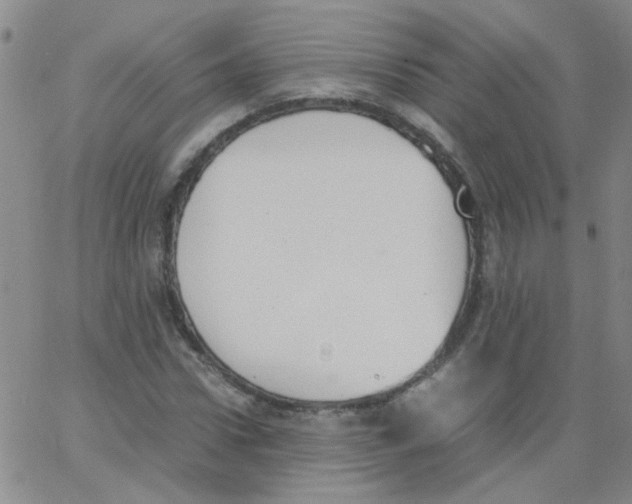 X0000062670922200601181857