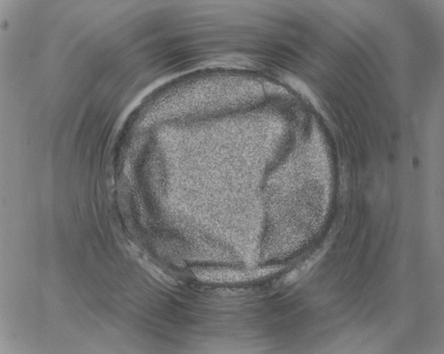 X0000062670923200601181857